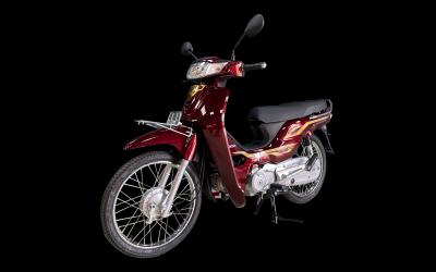 Honda Dream 125 NCX 2023 Màu Đỏ 7